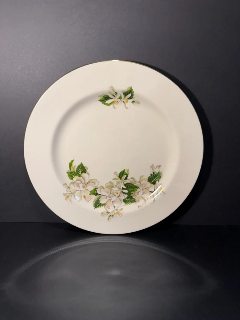 Vintage dinner plate in the 
